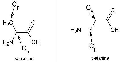 beta alanine and taurine|Beta Alanine and L.